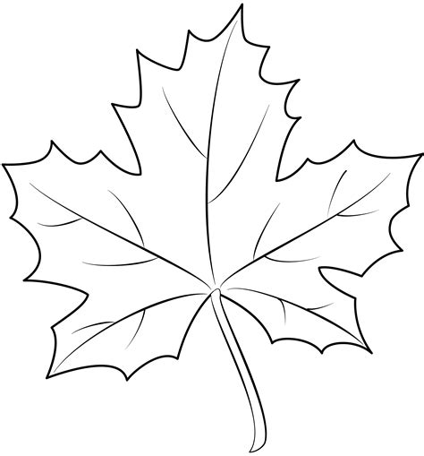 printable maple leaf outline